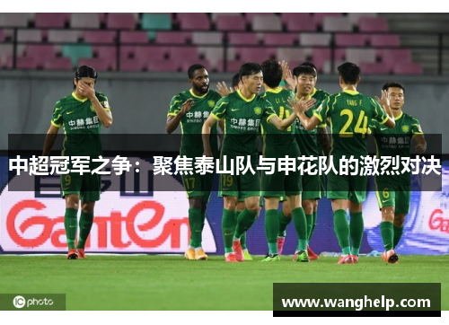 中超冠军之争：聚焦泰山队与申花队的激烈对决