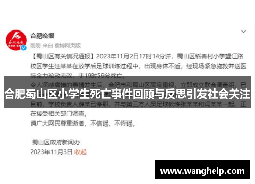 合肥蜀山区小学生死亡事件回顾与反思引发社会关注