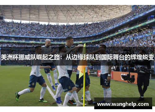 美洲杯挪威队崛起之路：从边缘球队到国际舞台的辉煌蜕变