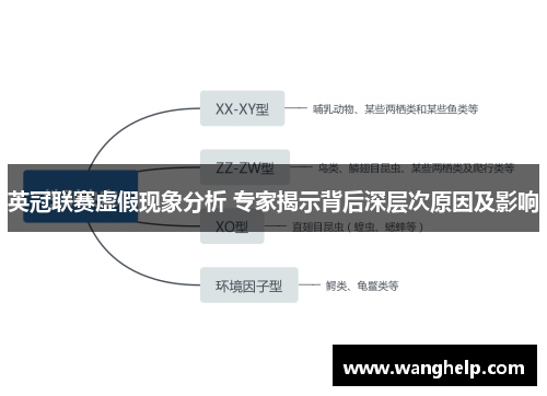 英冠联赛虚假现象分析 专家揭示背后深层次原因及影响