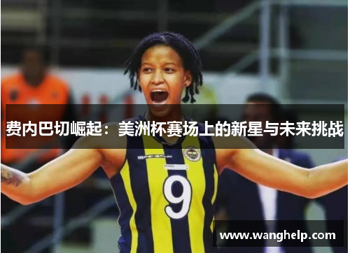 费内巴切崛起：美洲杯赛场上的新星与未来挑战